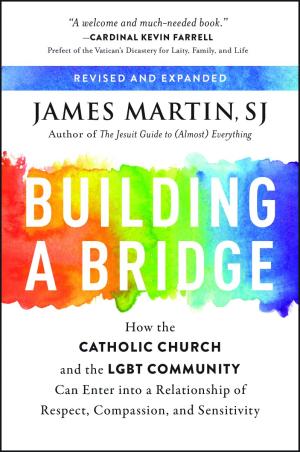 Cover image for Fr James Martin's book &quot;Building a Bridge&quot;