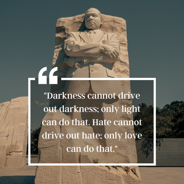 MLK day meme