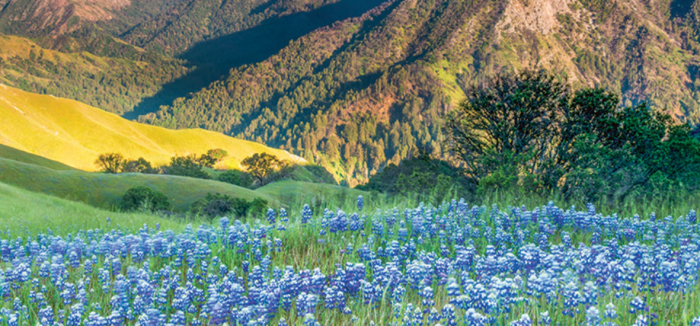 Land Back: Environmental Justice